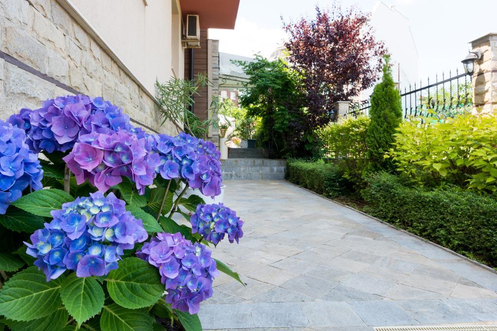 Siena House Hotel Sozopol Exterior foto